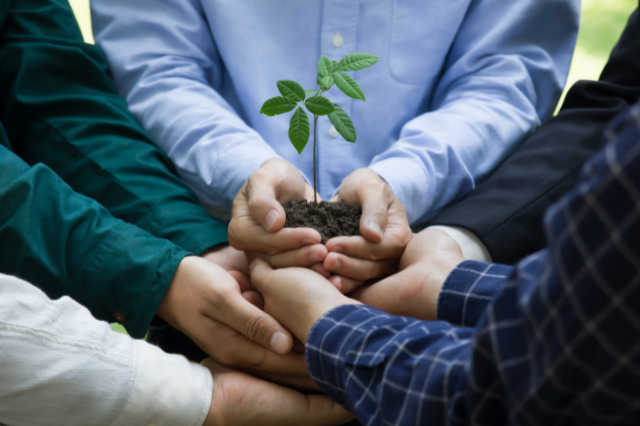 Sustainability in Business