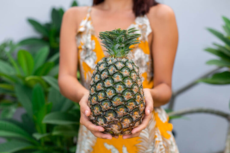 Can a Pineapple Plant Produce More Than Once? 1 Pineapple Plant